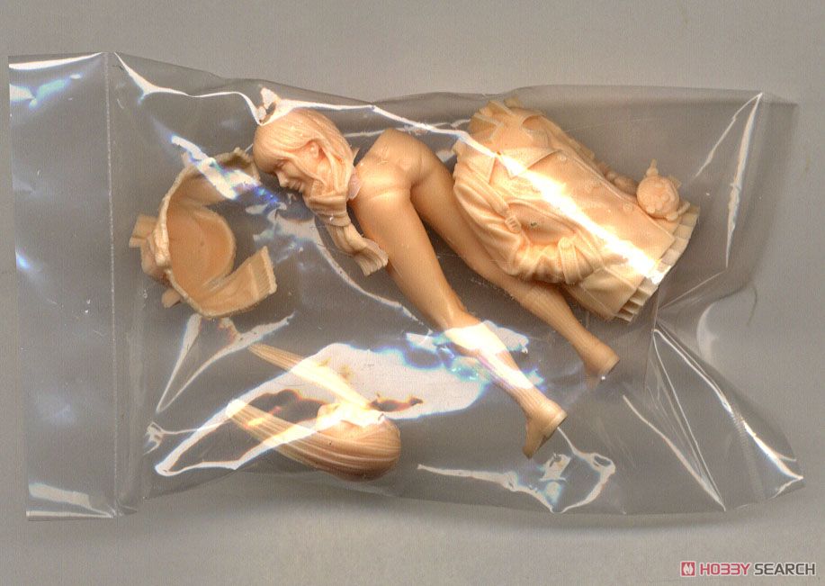 JK Figure Series JKC-v2-20S (1/20 Scale) (Plastic model) Contents1