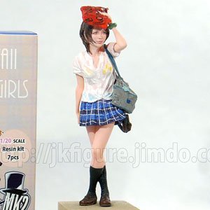 JK Figure Series JKT-v2-20S (1/20 Scale) (Plastic model)