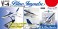 T-4 Blue Impulse (Pre-built Aircraft) その他の画像1 Thumbnail