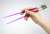 Lightsaber Chopstick Mace Windu (Renewal Product) (Anime Toy) Other picture2