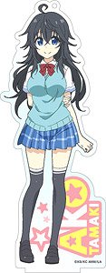 And You Thought There is Never a Girl Online? Big Acrylic Stand 2 Ako Tamaki (Anime Toy)