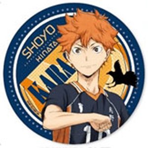 Haikyu!! Kazari Shoyo Hinata (Anime Toy)