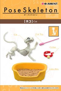 Pose Skeleton Cat (Anime Toy)