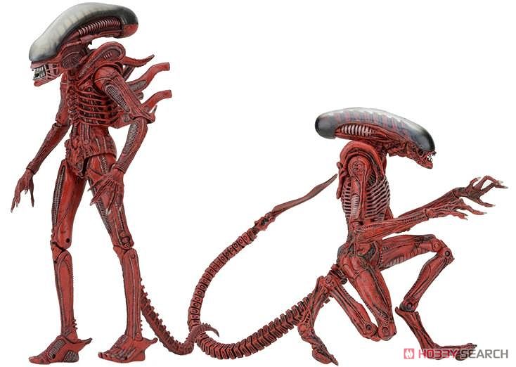 Alien/ 7 inch Action Figure Series: Genocide Big Chap & Dog Alien 2PK (Completed) Item picture1