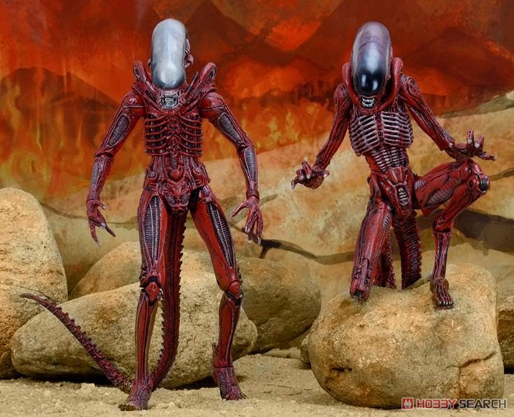 Alien/ 7 inch Action Figure Series: Genocide Big Chap & Dog Alien 2PK (Completed) Other picture1