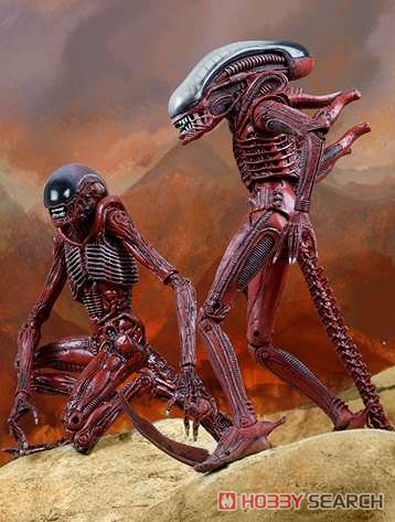 Alien/ 7 inch Action Figure Series: Genocide Big Chap & Dog Alien 2PK (Completed) Other picture2