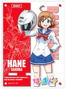 [Bakuon!!] Acrylic Multi Stand 01 (Hane Sakura) (Anime Toy)