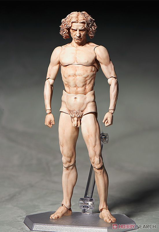 figma Vitruvian Man (PVC Figure) Item picture2