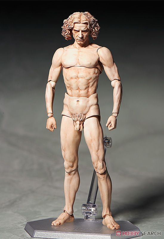 figma ウィトルウィウス的人体図 (フィギュア) 商品画像2