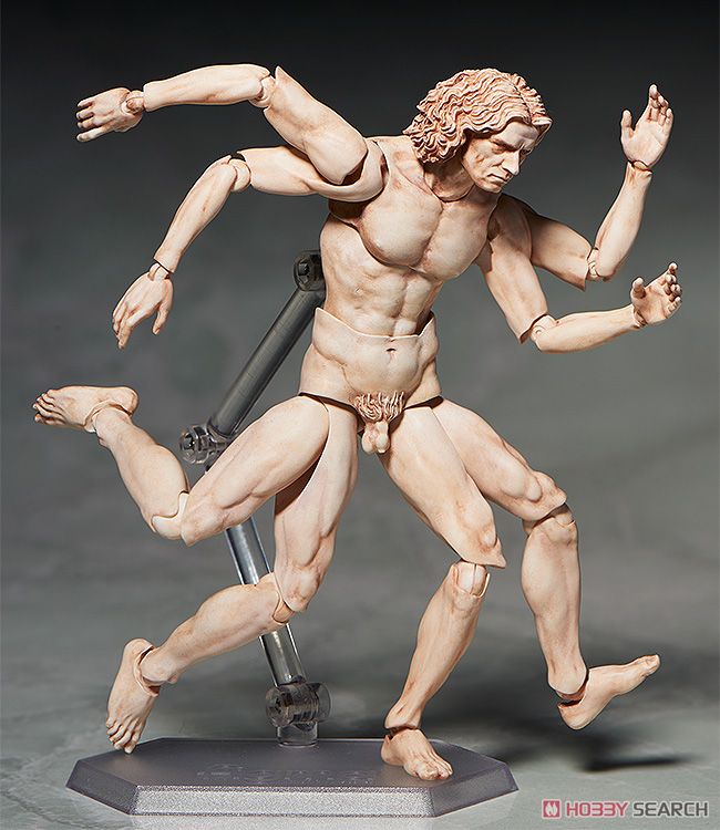 figma Vitruvian Man (PVC Figure) Item picture3