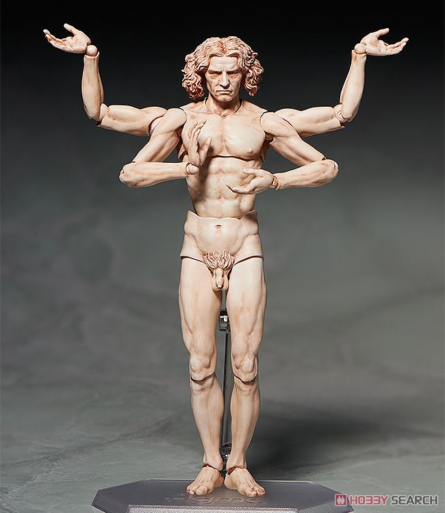 figma Vitruvian Man (PVC Figure) Item picture4