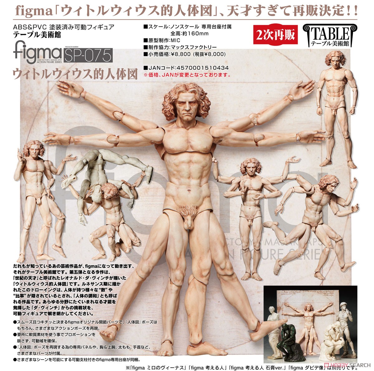 figma Vitruvian Man (PVC Figure) Item picture7