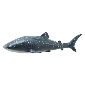 Whale Shark Vinyl Model (Animal Figure)