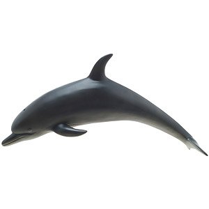 Bottlenose Dolphin Vinyl Model (Animal Figure)