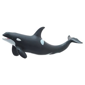 Killer Whale Vinyl Model (Animal Figure)