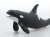 Killer Whale Vinyl Model (Animal Figure) Item picture2