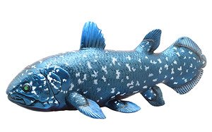 Coelacanth Vinyl Model (Animal Figure)