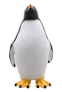Gentoo penguin Vinyl Model (Animal Figure)