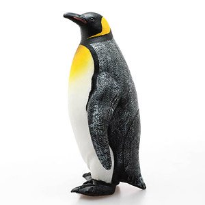 キングペンギン ビニールモデル (動物フィギュア)