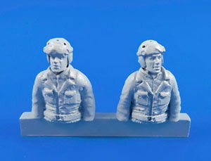 USA Sherman/Pilot & Machine Gunner/Bust (Plastic model)