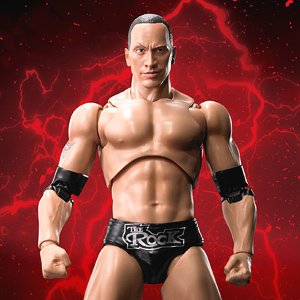 S.H.Figuarts The Rock (Completed)