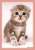 ブロッコリーハイブリッドスリーブ 猫 「スコティッシュ･フォールド」 リバイバル (カードスリーブ) 商品画像1