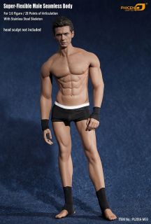 Phicen Limited 1/6 Male Seamless Body Stainless Steel Skeleton (Fashion  Doll) - HobbySearch Fashion Doll Store