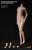 ファイセン・リミテッド 1/6 女性シームレスボディ ステンレススティールスケルトン ナローショルダー サンタン ミドルバスト (ドール) 商品画像1