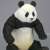 Soft Vinyl Toy Box 003 Panda Ailuropoda Melanoleuca (Completed) Item picture6