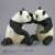 Soft Vinyl Toy Box 003 Panda Ailuropoda Melanoleuca (Completed) Other picture2