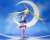 S.H.Figuarts Sailor Moon -Sailor Moon Crystal- (Completed) Item picture5