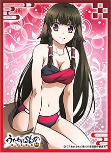 キャラクタースリーブ うたわれるもの 偽りの仮面 ルルティエB (EN-324) (カードスリーブ)