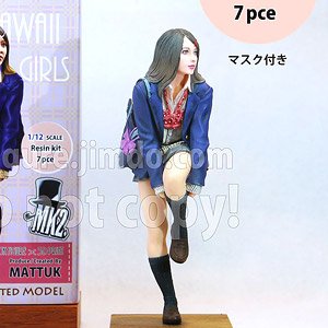 JK Figure Series JKBRS-12S (1/12 Scale) (Plastic model)