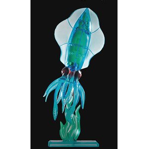 Dual Layer Puzzle Clear Anatomy Model Puzzle Bigfin reef squid (Puzzle)