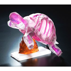 Dual Layer Puzzle Clear Anatomy Model Puzzle Tortoise (Puzzle)