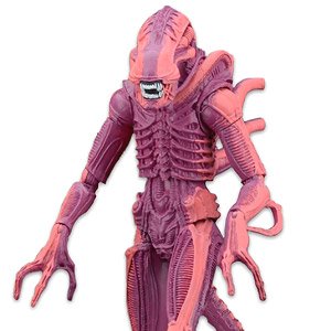 Alien/ 7 inch Action Figure Series : 1990 Arcade Appearance Alien Warrior (Completed)
