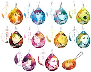 ハイキュー!! ラウンドトップキーホルダー DROP (10個セット) (キャラクターグッズ)