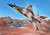 Mirage F.1CR (Plastic model) Other picture1