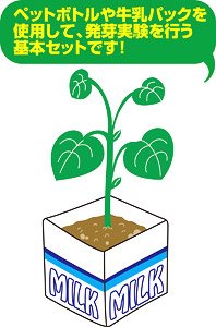 植物の発芽と成長基本セット (教材)