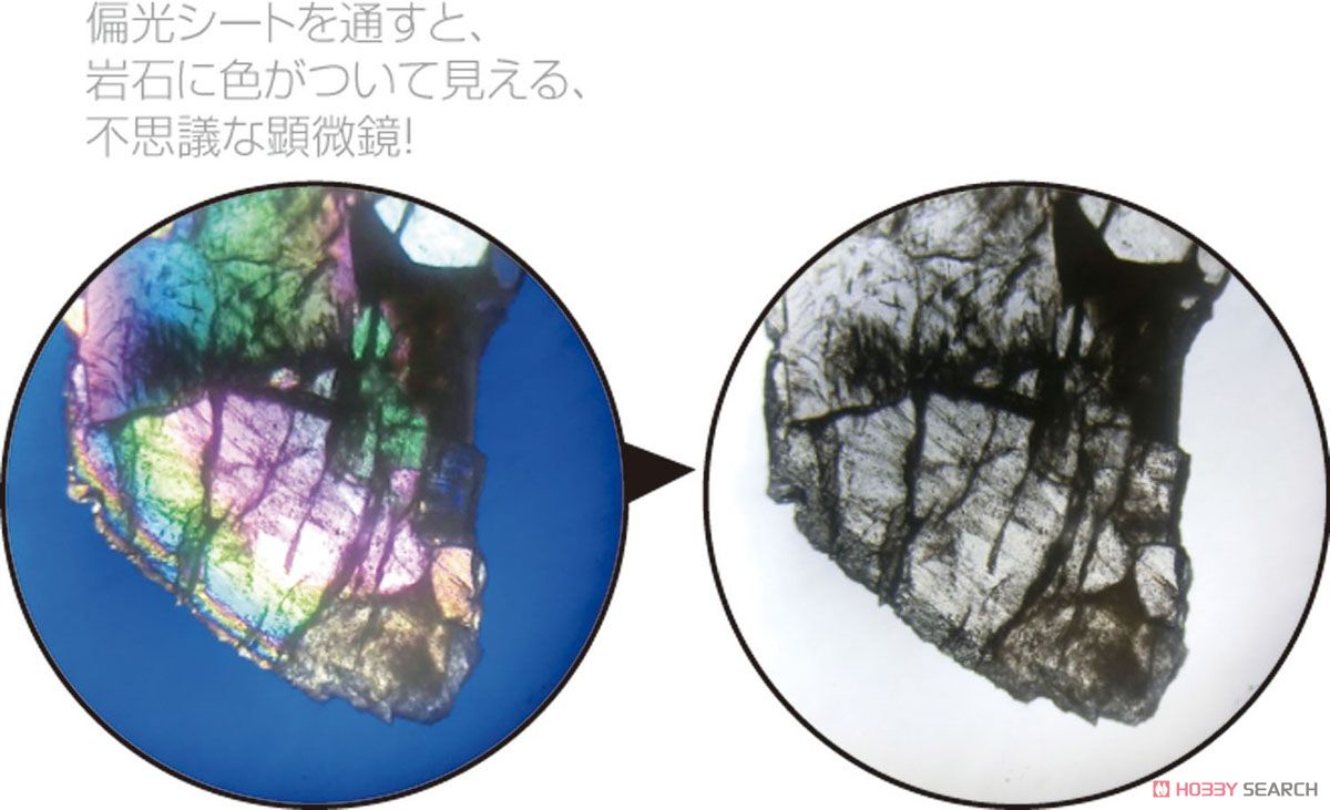 Polarized Light Microscope Observation of Ore (Educational) Other picture1
