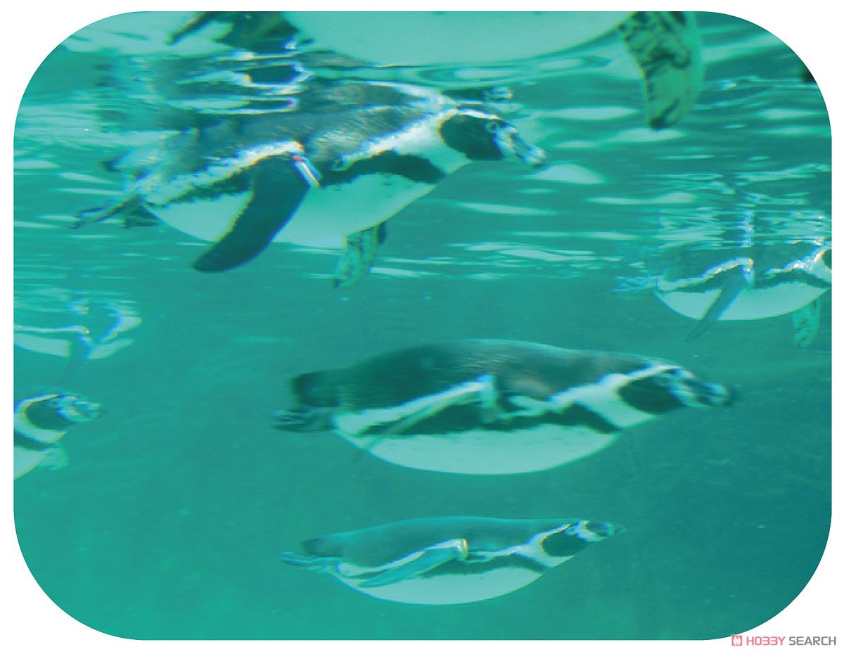 Aquarium Projector (Educational) Item picture5