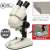 Both Eyes Substance Microscope (Inclination Lens Tube)  (Educational) Item picture1