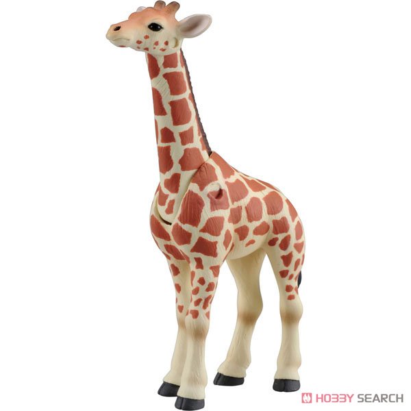 Ania AS-12 Reticulated Giraffe (Calf) (Animal Figure) Item picture1