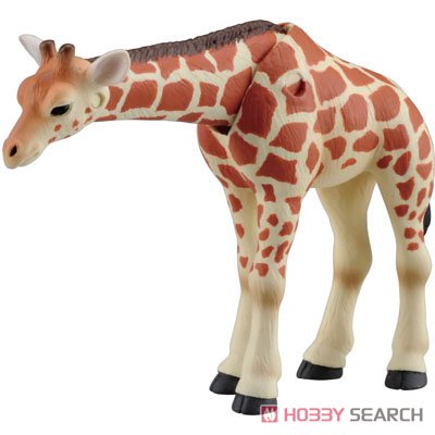 Ania AS-12 Reticulated Giraffe (Calf) (Animal Figure) Item picture2