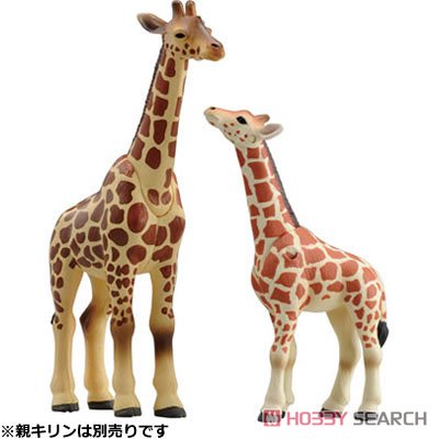 Ania AS-12 Reticulated Giraffe (Calf) (Animal Figure) Other picture1