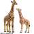 Ania AS-12 Reticulated Giraffe (Calf) (Animal Figure) Other picture1