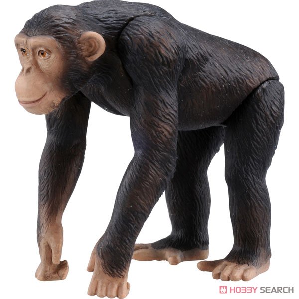 アニア AS-14 チンパンジー (動物フィギュア) 商品画像1