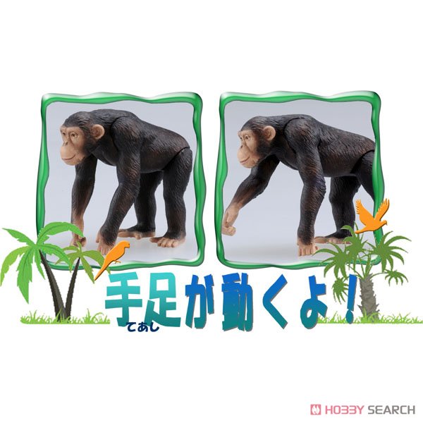 アニア AS-14 チンパンジー (動物フィギュア) 商品画像3