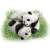 Ania AS-23 Giant panda (Cub) (Animal Figure) Other picture1