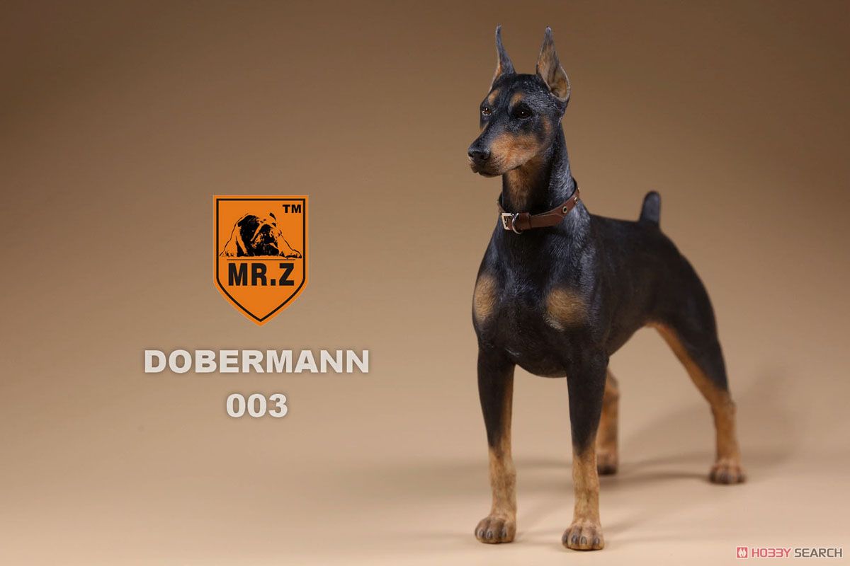 Mr.Z 1/6 Doberman 003 (Fashion Doll) Item picture1